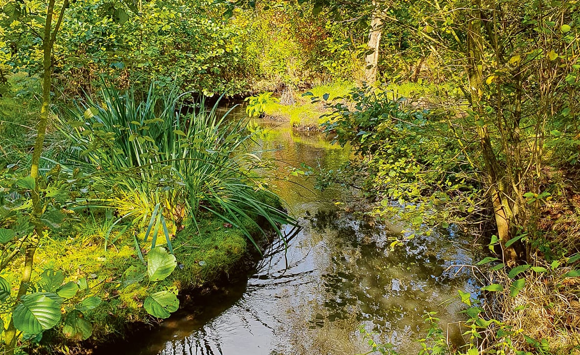 Gillbach bei Münchrath