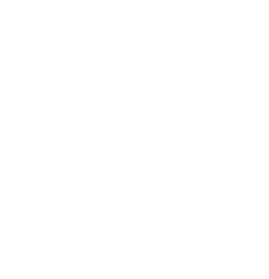 Icon für die Fakten-Unterseite